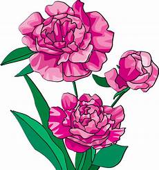 peony clipart peony clip cliparts peony clipart peony clip cliparts