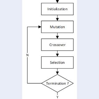 Image result for De Algorithm Animation