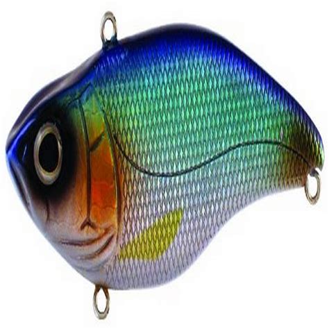 Spro Junior Aruku Shad Bait-Pack of 1, Blue Shiner : Amazon.in: Sports ...