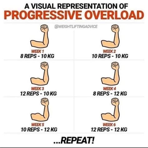 Image result for Progressive Loading Exercise