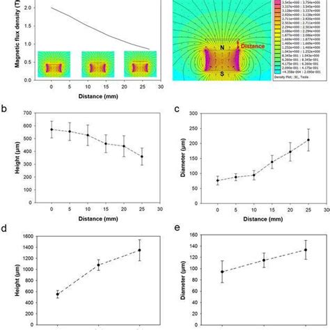 Wer can we find dis magnetic pillar - Brainly.in