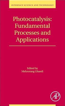 Buy Photocatalysis: Fundamental Processes and Applications (Volume 32 ...