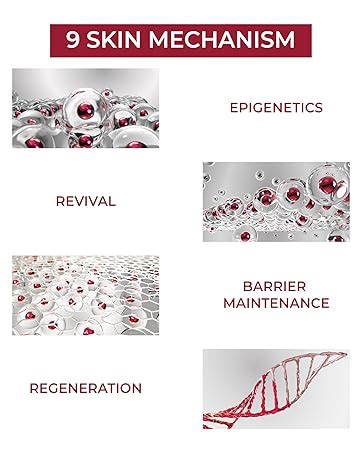 Skin Password Anti Aging Cream - Reduce Wrinkles & Fine Lines | 3% ...