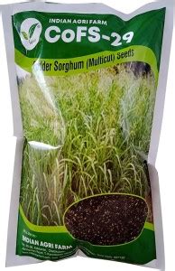IAgriFarm CoFs29 Fodder Sorghum Seed -1 Kg -MultiCut For Fodder ...