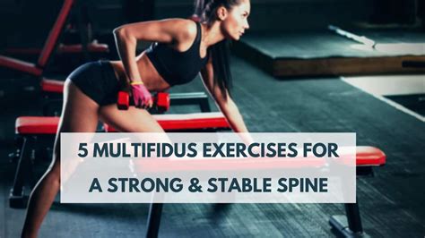 Image result for Multifidus Exercises