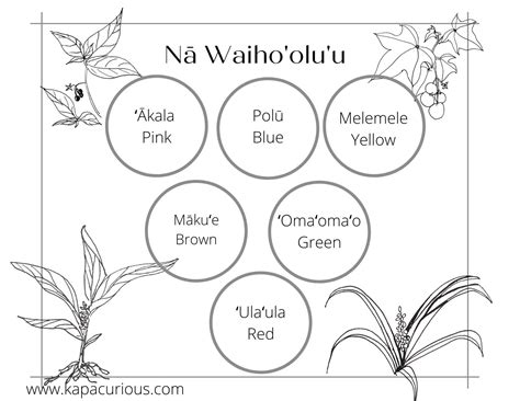 Colors for Model Activity Task 的图像结果