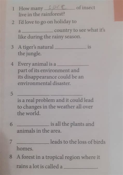 VOCABULARY Use words or phrases from the box to complete the sentences ...