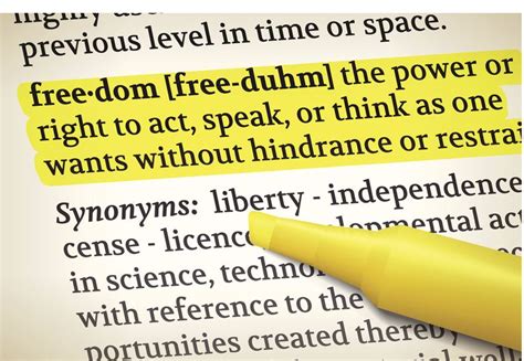 Synonym Definition 的图像结果