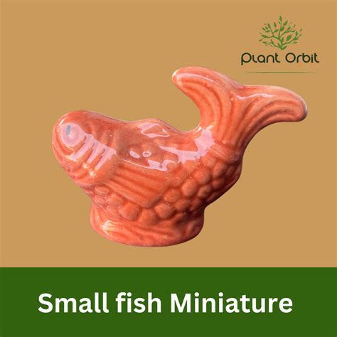 Small pink fish miniature – Plant Orbit