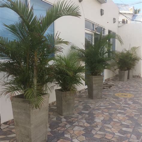 HOTEL SUNSET BEACH (Cartagena) - Lodge Reviews, Photos, Rate Comparison ...