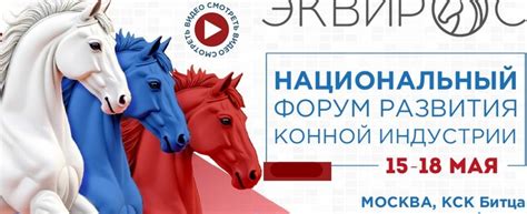 Конная выставка “ЭКВИРОС” 2025 | Москва: Выставки-Ярмарки, Фестивали ...