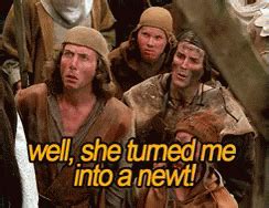 Image result for Monty Python Witch Scene