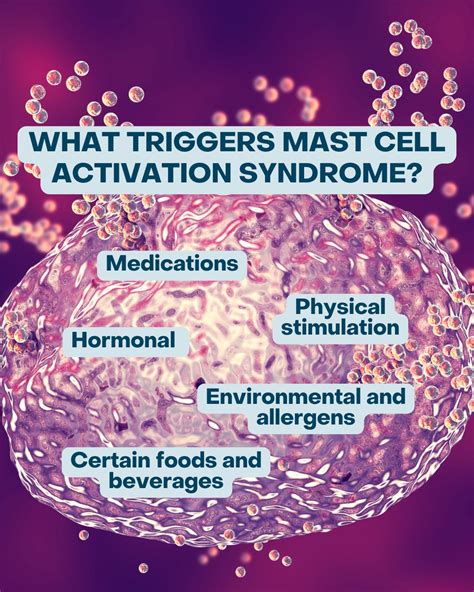 Dr. Jill Carnahan, Functional Medicine MD | What Triggers Mast Cell Activation Syndrome (MCAS ...