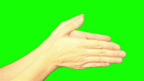 Hand Camera Greenscreen 的图像结果