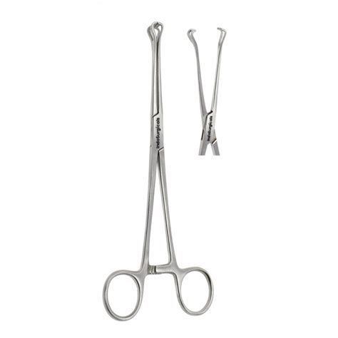 Buy Babcock Forceps 6", 8" & 10" Online at Best Price