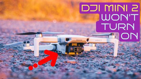 DJI Mini 2 Connection Problem 的图像结果