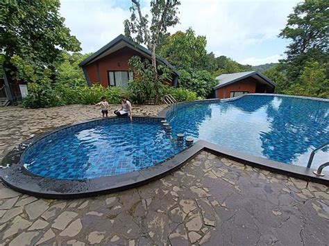 VYNA HILLOCK RESORT AND SPA (Vythiri, Kerala) - Hotel Reviews, Photos ...