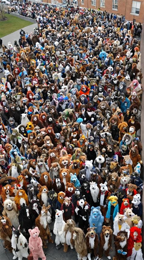 Chat with Furry convention - text or voice, Enjoy AI Chat Free & Safe
