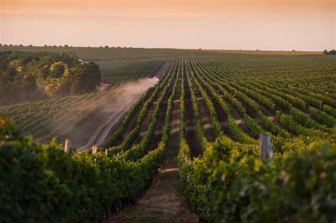 Молдова ищет терруары — Wine and Spirits