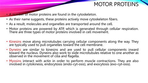 Image result for Cytoskeleton Structure