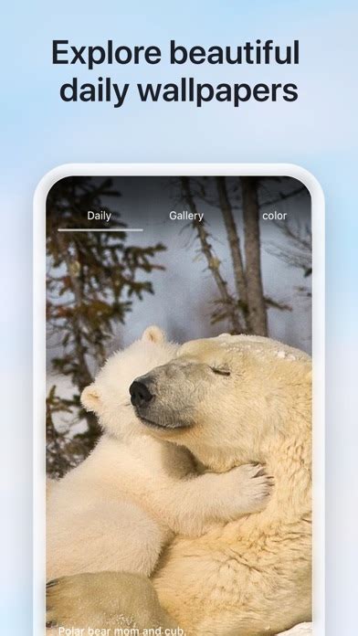 Bing Search Problems 的图像结果