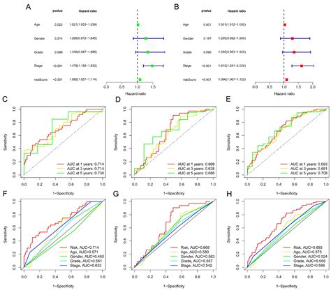 Anoikis-Related Long Non-Coding RNA Signatures to Predict Prognosis and ...