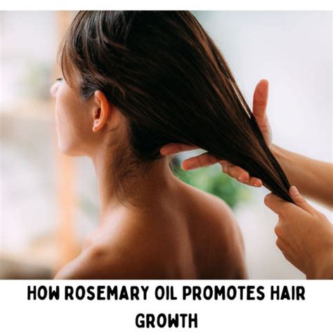 Rosemary Oil vs. Minoxidil: Which is Better for Hair Loss? | Clinikally