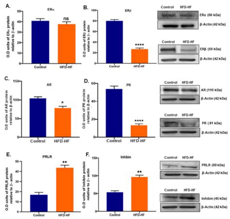Cells | Special Issue : Molecular Targets for Autophagy in Cancer Treatment