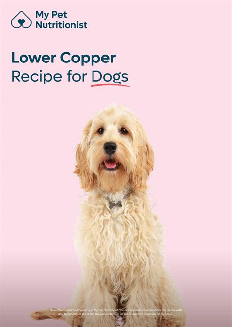 What Are Normal Liver Enzyme Levels In Dogs