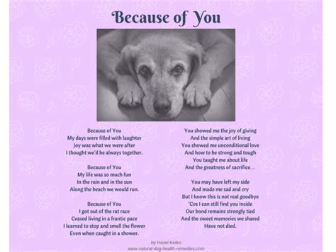 Dog Death Poems
