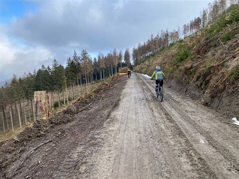 HARZER E-BIKE (2026) All You Need to Know BEFORE You Go (with Photos ...