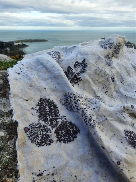 A Foraging Stroll up Killiney Hill and Eco Printing with Irish Linen ...