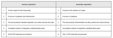 NCERT Solutions for Class 11 Biology chapter 14 Respiration in Plants ...