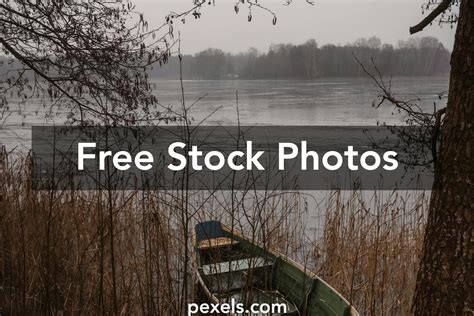 Image result for Free Arduino