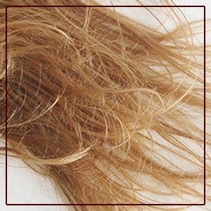 Arganicare Coconut Hydrating Conditioner With Certified Organic Argan ...