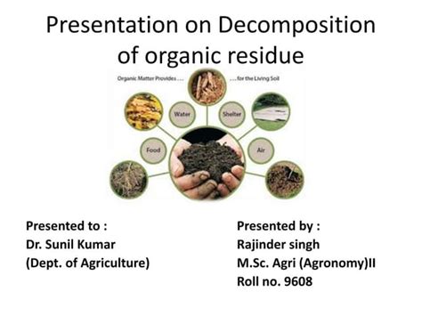 Image result for Decomposition Explained
