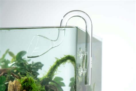 Petzlifeworld Aquarium Lily Pipe 19 MM- Glass Inlet and Outlet for ...
