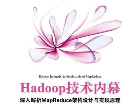 MapReduce Programming 的图像结果