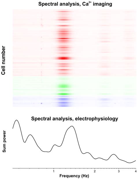 FluoAnalysis: An Open-Source MATLAB Toolbox for Analysis of Calcium ...