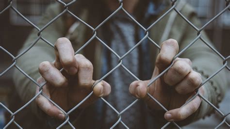 Separation Immigration 的图像结果