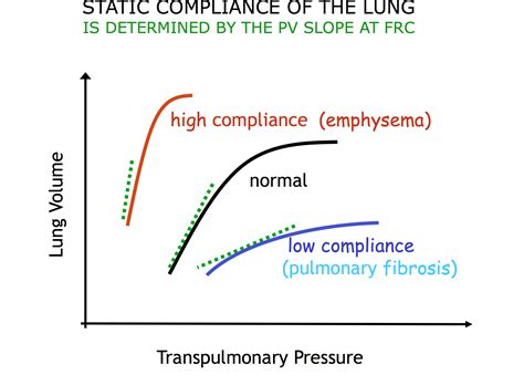 Compliant Lung