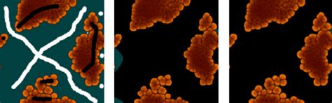 Image result for Image Matting Algorithm Python