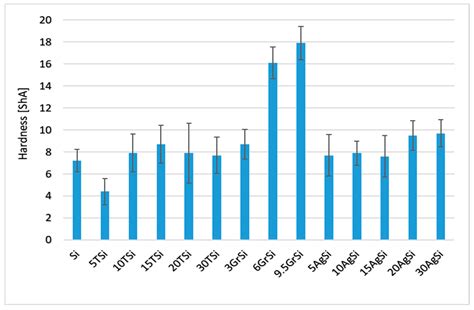 Polysiloxane-Based Composite Coatings with Bactericidal Additives