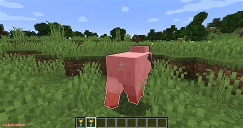 Super Tools Mod 的图像结果