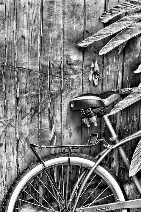 Cycling Black and White 的图像结果