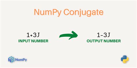 Image result for Round Function Python