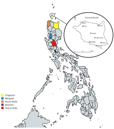 Population Structure, Morphology, and Health Assessment of Philippine ...