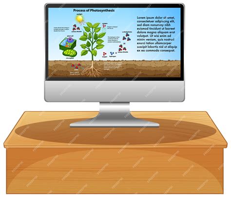 Computer Bio Vector 的图像结果