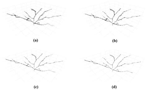 Tree Branch Skeleton Extraction from Drone-Based Photogrammetric Point ...