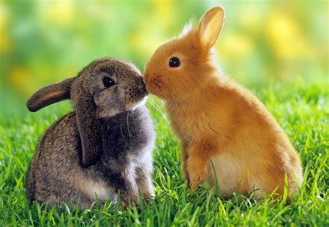 Image result for Sample Programs of HTML